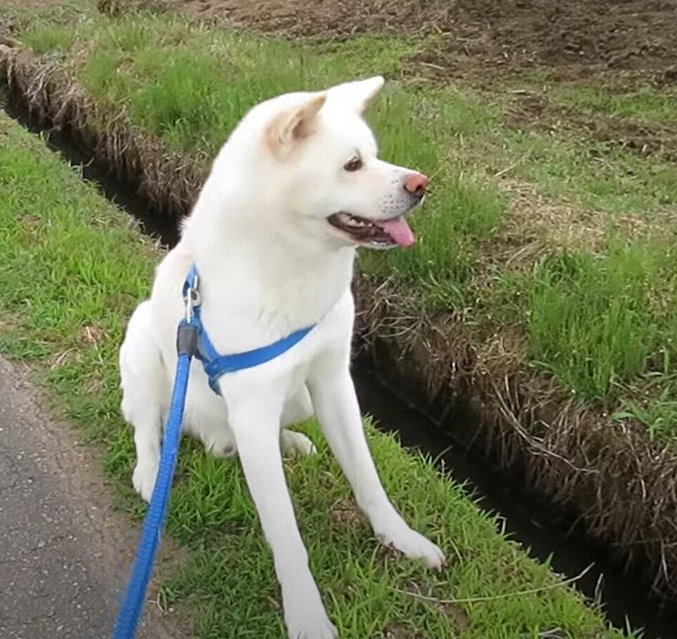 座り込むゆうき君