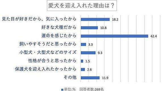 愛犬を迎え入れた理由は？