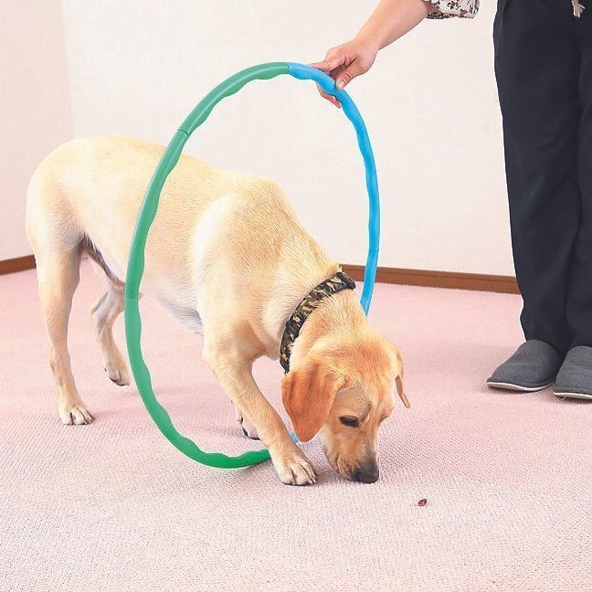 撮影／尾﨑たまき