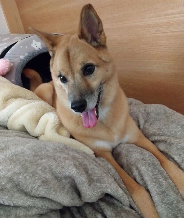 笑顔が可愛いコタロウくん