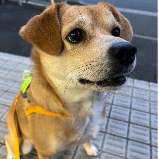 いつもの場所で休憩するあおくん