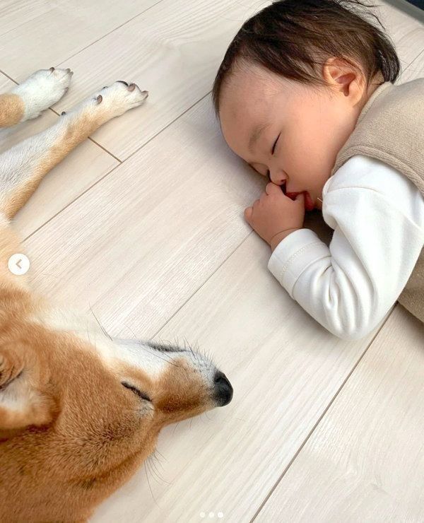 キッチンで寝落ちしてしまった花子ちゃんとモモ子ちゃん