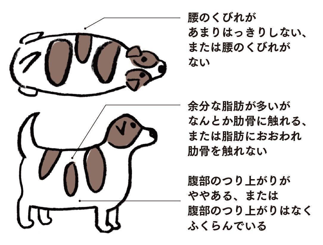 イラスト／オガワナホ