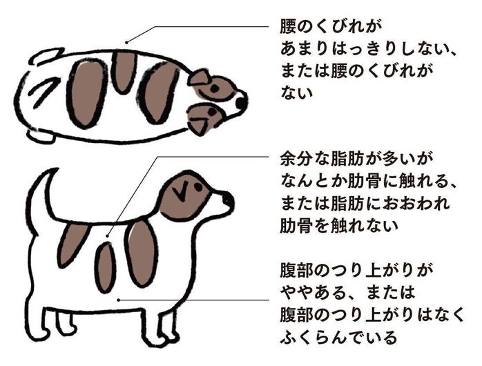 イラスト/オガワナホ