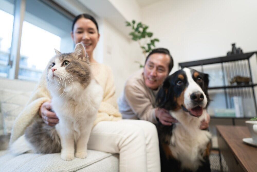 フジタ　大和リビング　リーラ横浜川和町　月次健診　犬猫合わせて4頭　マンション　賃貸マンション　いぬのきもち　いぬ