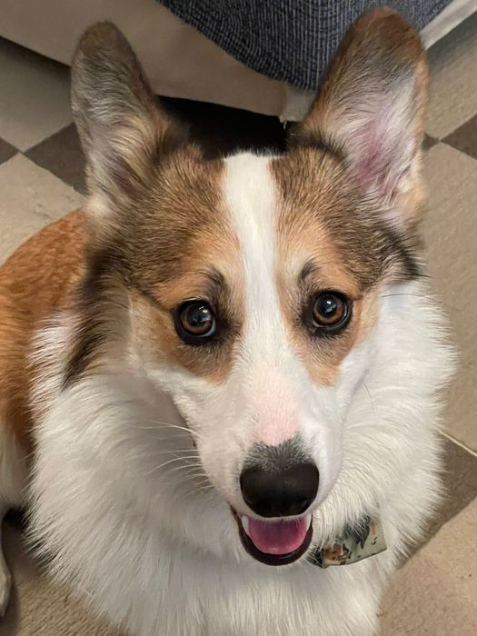 3才になったカイくん。大きくなりました!