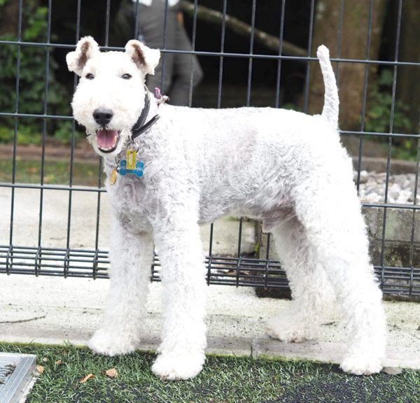 笑顔のこっぺぱんちゃん