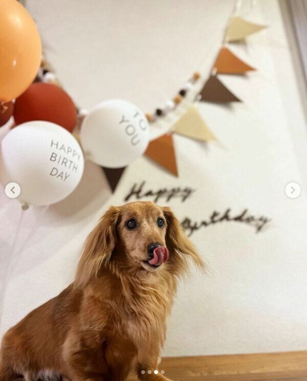 14才になったノアくん