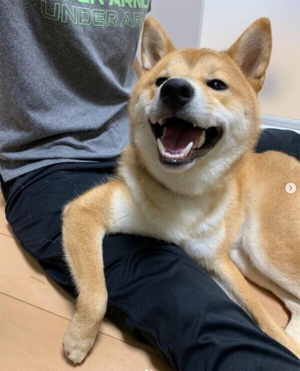 くつろぐはじめくん