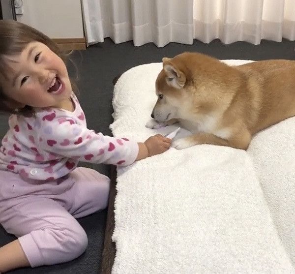 女の子と柴犬