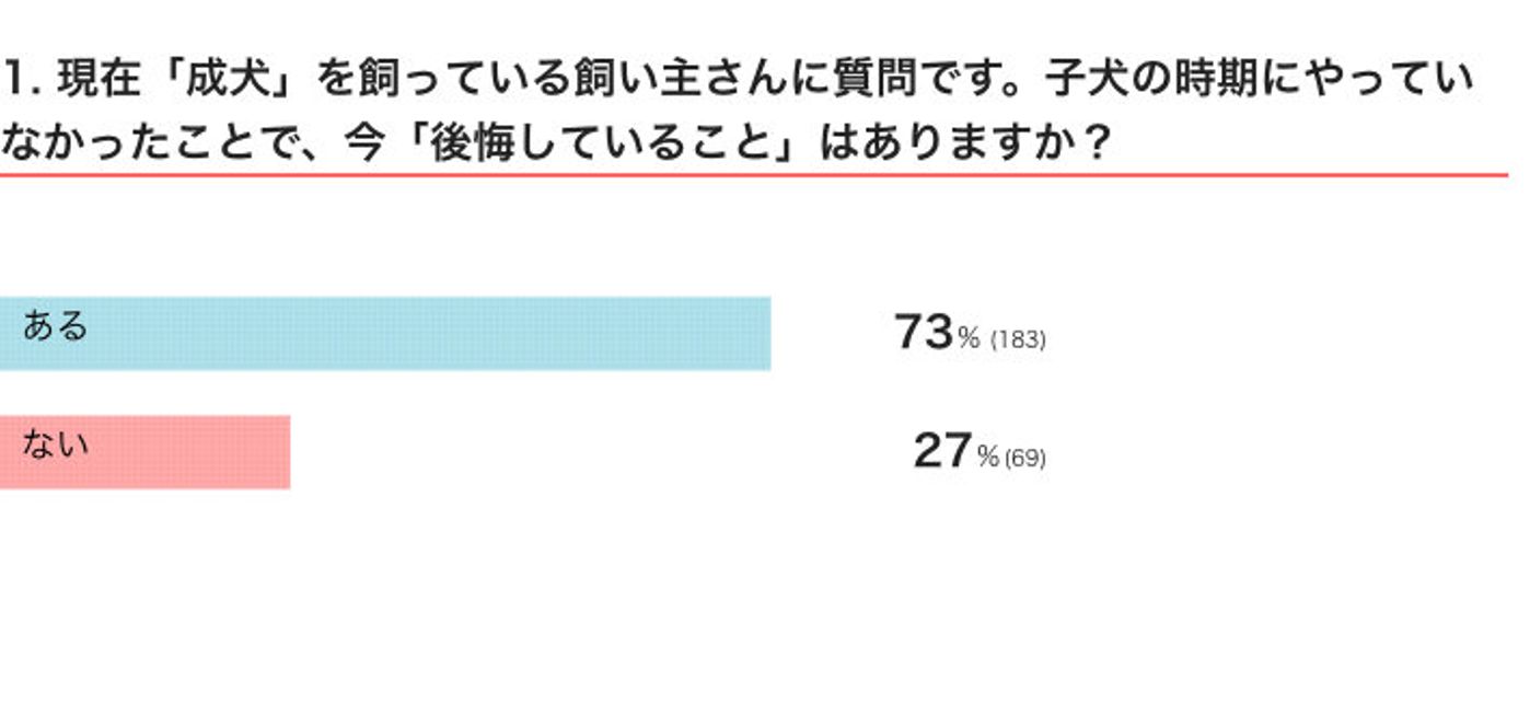 子犬の時期にこれをやっておけばよかった 犬の先輩飼い主が後悔していること いぬのきもちweb Magazine 子犬の時期にこれをやっておけばよかった 犬の先輩飼い主が後悔していること いぬのきもちweb Magazine
