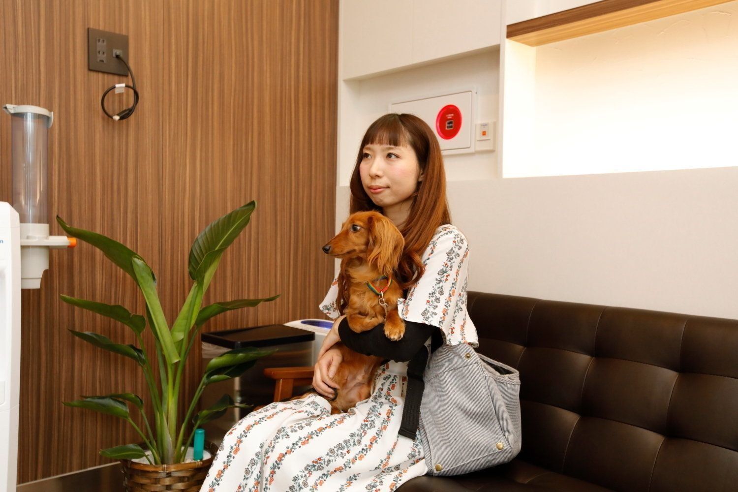 読者の丸山千佳さんと愛犬・ぽぽくん（オス・3才／ミニチュア・ダックスフンド）