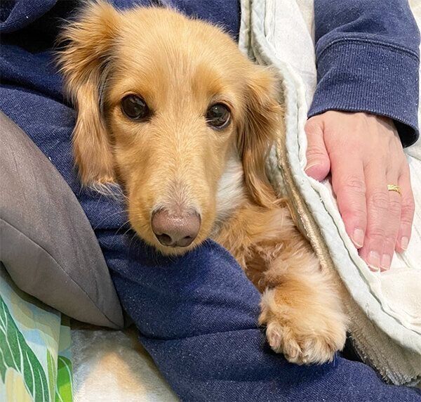 甘える大吉くん