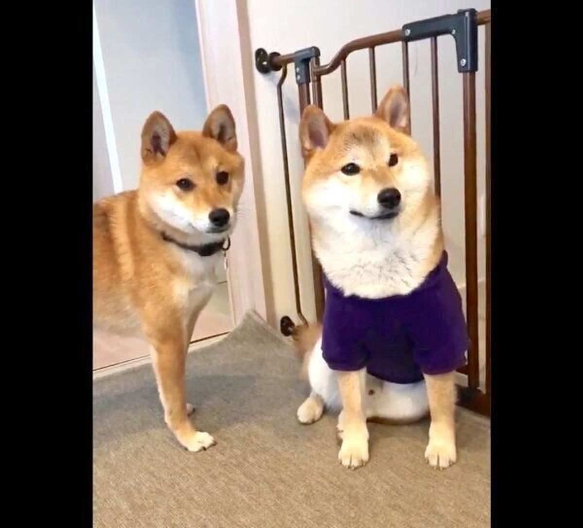 Z Ilwjd2vkolbm Z Ilwjd2vkolbm