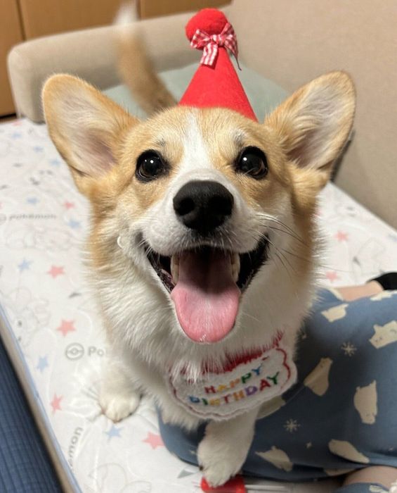 笑顔が可愛いまるちゃん