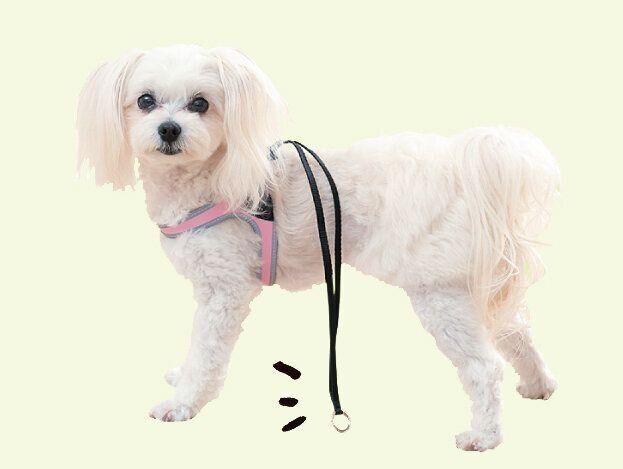 垂れさがるパーツの多いものは要注意