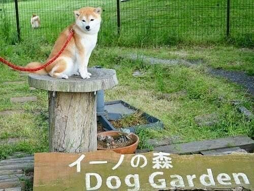 フォトスポットでバッチリきめている華ちゃん♪