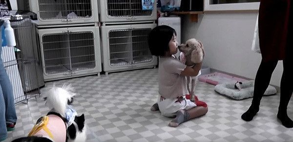 子どもに抱かれるトイ・プードル