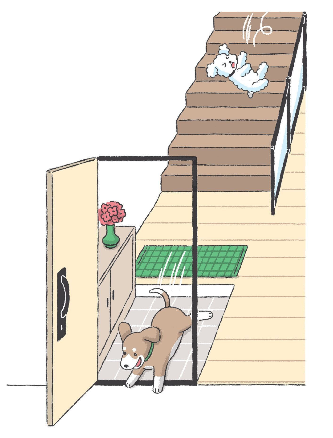 玄関から脱走する犬
