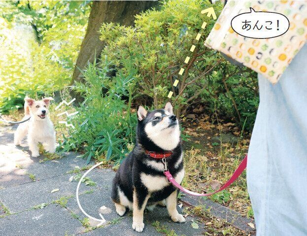 威圧してじっとみてしまう場合
