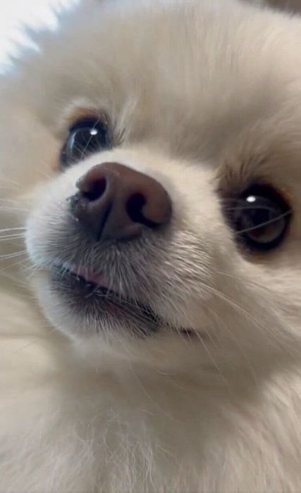 首をかしげる天くん