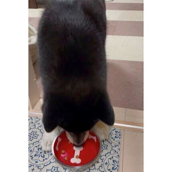 ゆっくりと食べるこてつくん