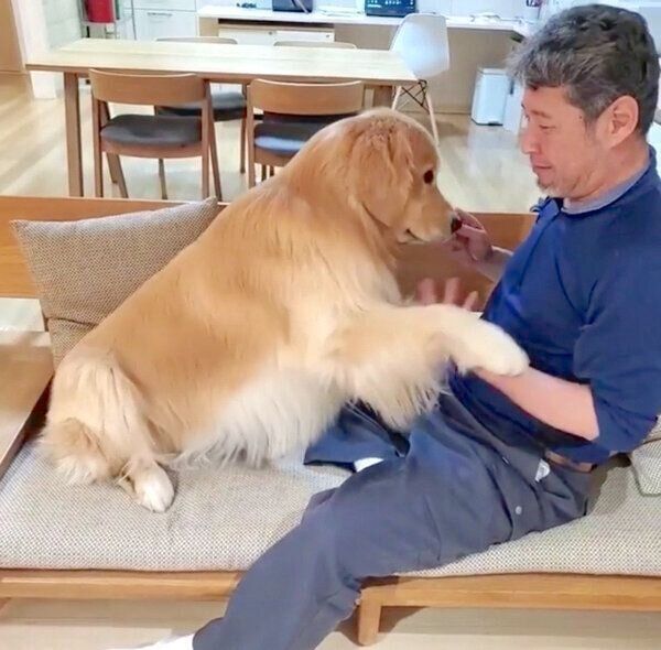 お手をするアランくん