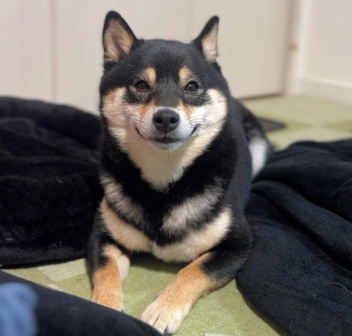 ニヤッと笑うおはぎちゃん