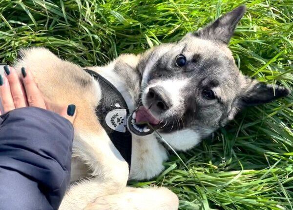 笑顔のととちゃん