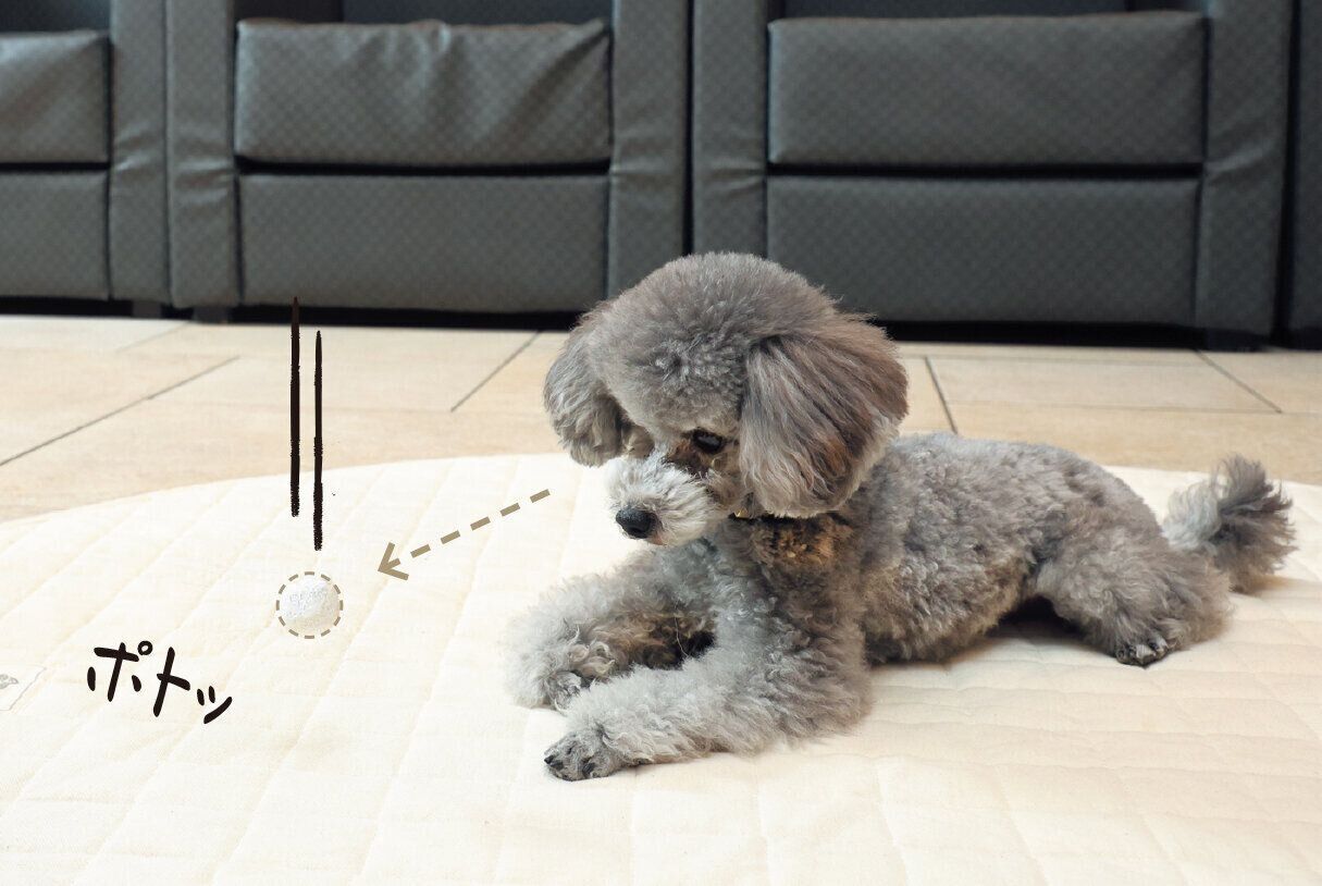 音がしにくい素材がベター