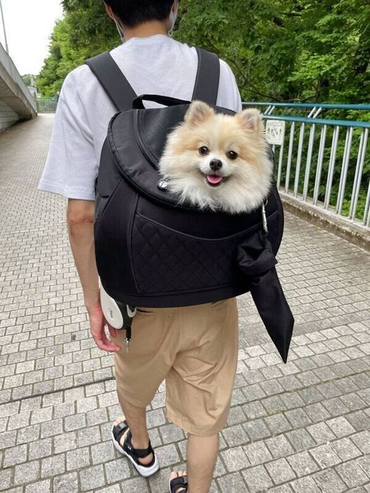 病院の帰り道に余裕の表情を見せるちくわくん