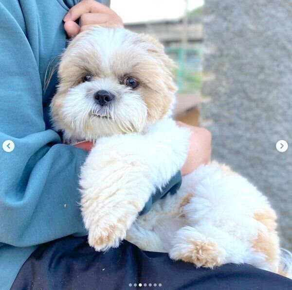 抱っこされるつぶちゃん