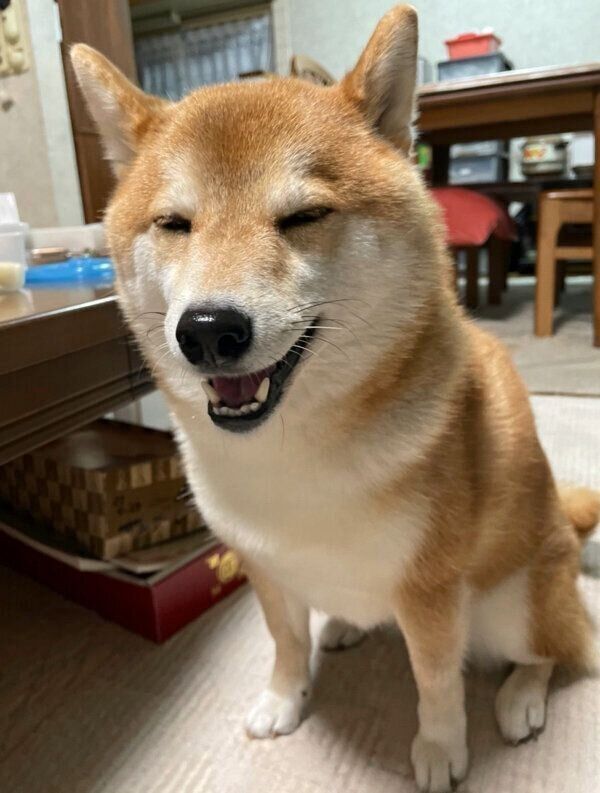 笑顔のハルちゃん