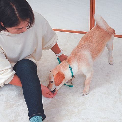 撮影／殿村忠博