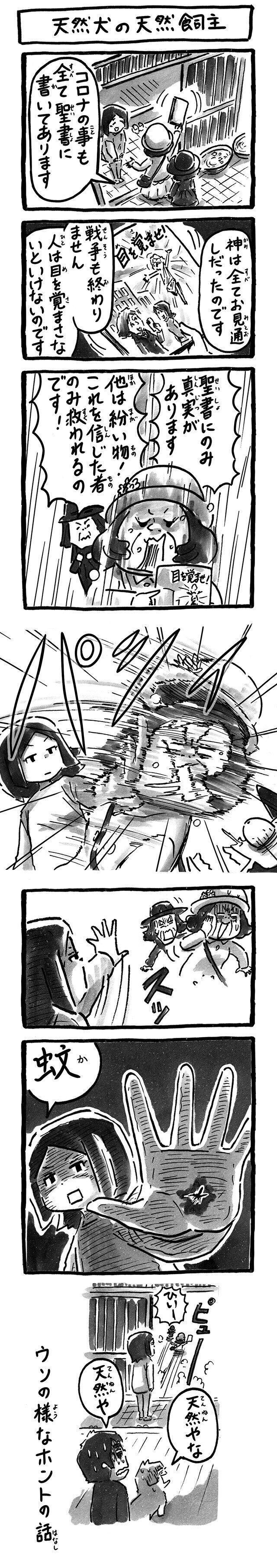 シーズー犬マンガてんぽshihtzu