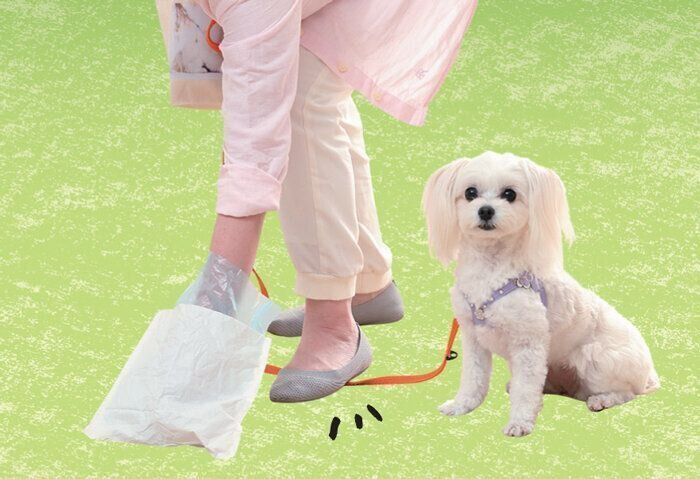 ウンチを拾うときは隣に座らせてリードを踏む