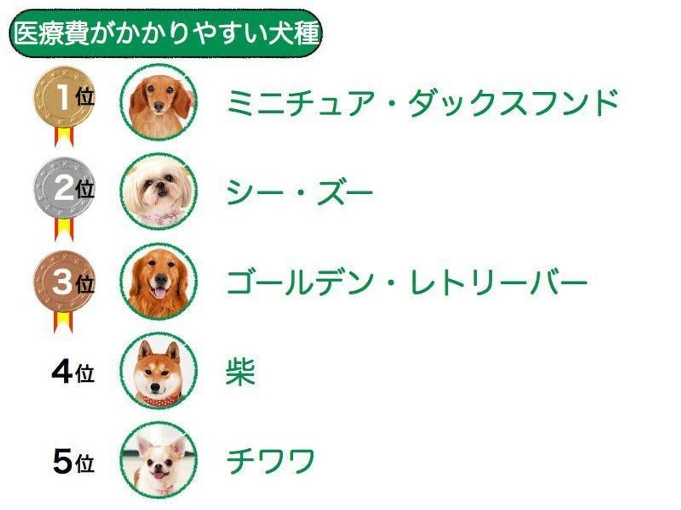 食糞しやすい犬種top5 実は人気のあの犬種が その理由は いぬのきもちweb Magazine 食糞しやすい犬種top5 実は人気のあの犬種が その理由は いぬのきもちweb Magazine