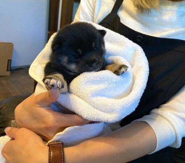 出会ったときの和凪ちゃん