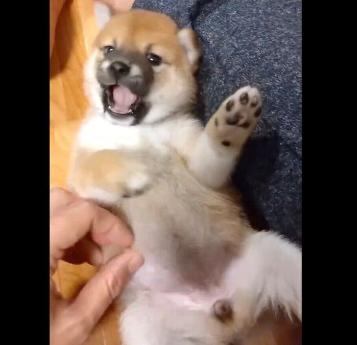 生後3カ月のころのひなたちゃん
