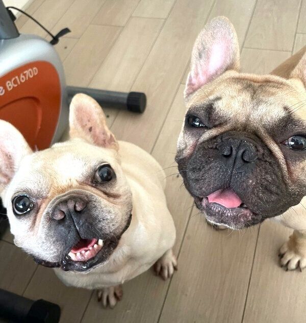 笑顔の小次郎くんと高虎くん