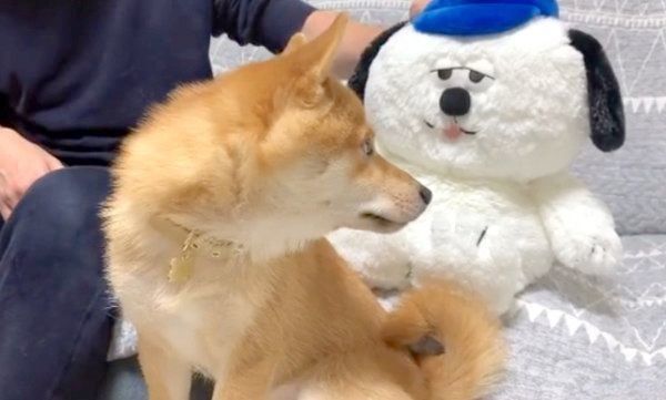 かまってほしいパパさんと、ガン無視するうにくん