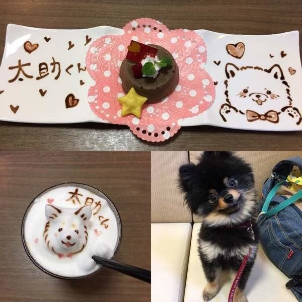ラテアートとポメラニアン