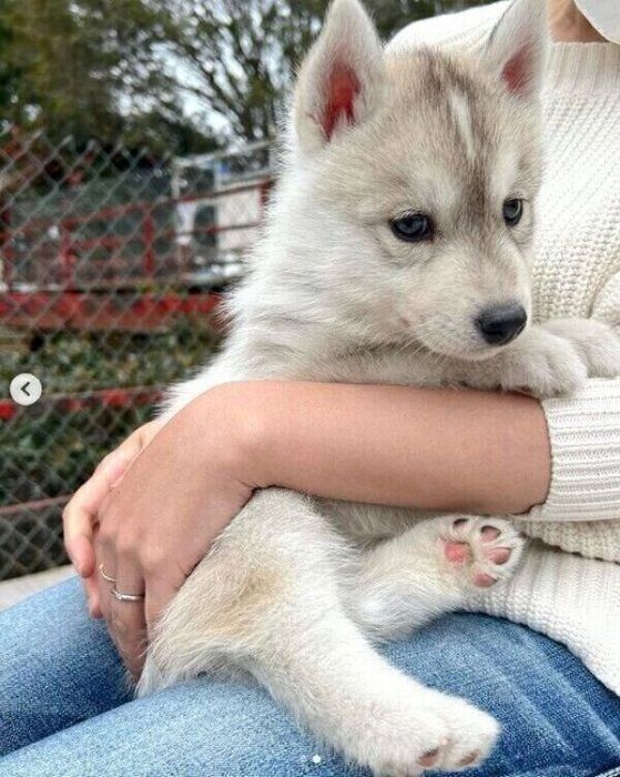 家にやってくる前のぽぽちゃん