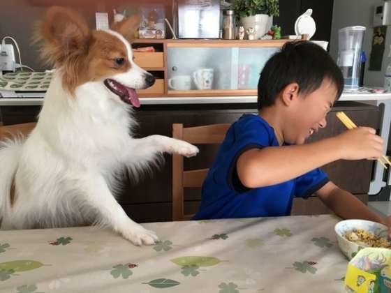 ちょいちょいする大吉ちゃん