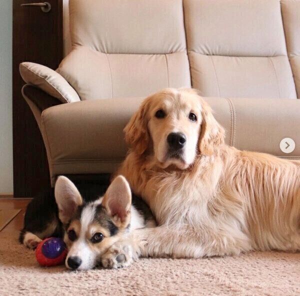 仲良しなシャロンちゃんとモグくん