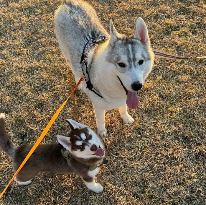 楽しそうな福丸くん、ぶなちゃん