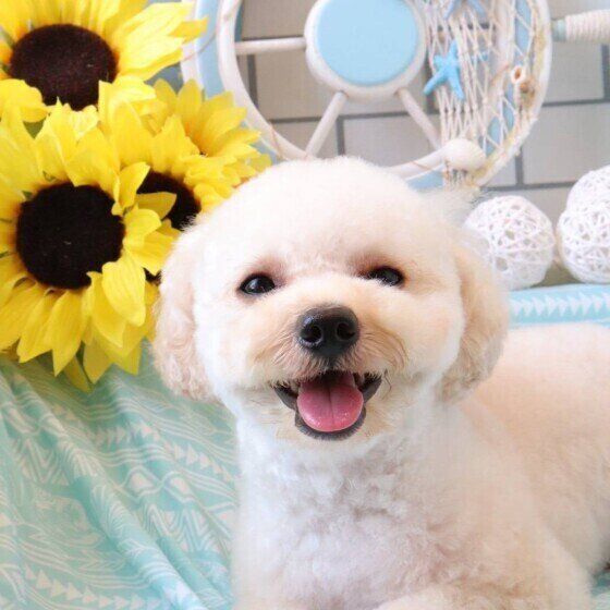 笑顔のポール小太郎ちゃん