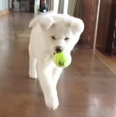 ボール遊びをするゆうきくん