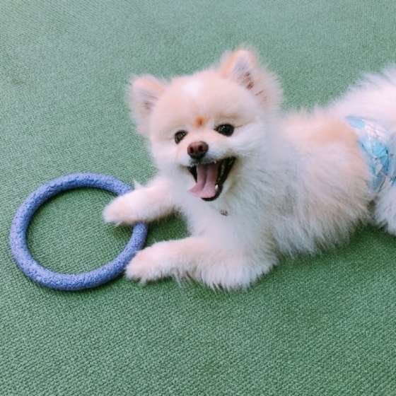 遊んでいるとむちゃん