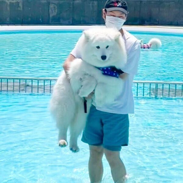 プールに緊張気味なソランくん